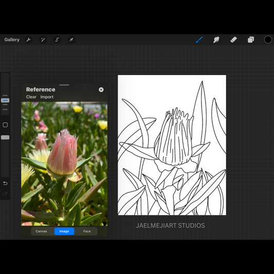 Let's Draw Flowers: A Beginner's Guide Using Procreate